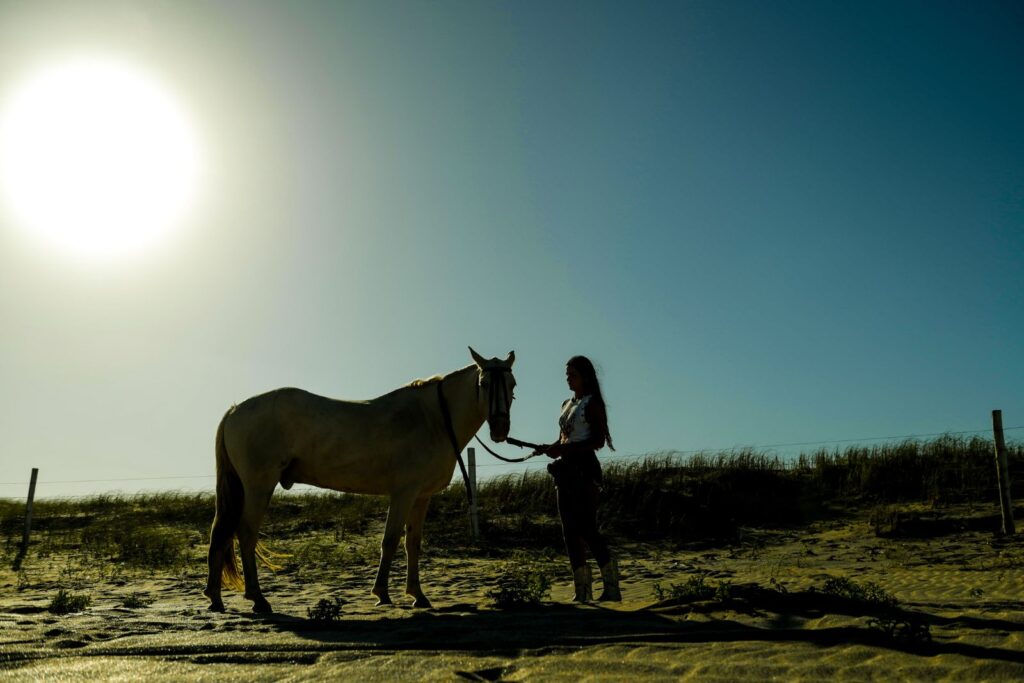 book de fotos 15 años con caballos