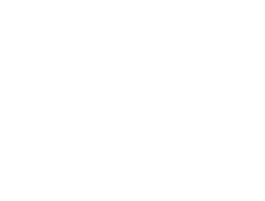 Punto AVI
